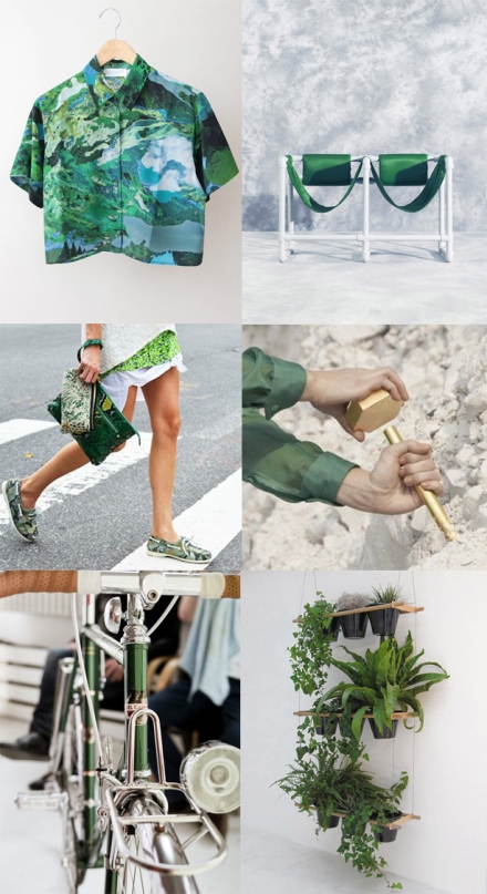 Green-plants-bike-fashion-interior-grey
