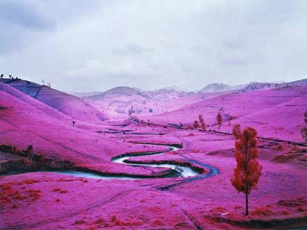pink-congo-of-africa-by-richard-mosse-1