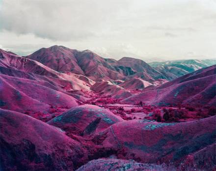 pink-congo-of-africa-by-richard-mosse-2
