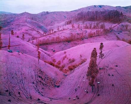 pink-congo-of-africa-by-richard-mosse-3